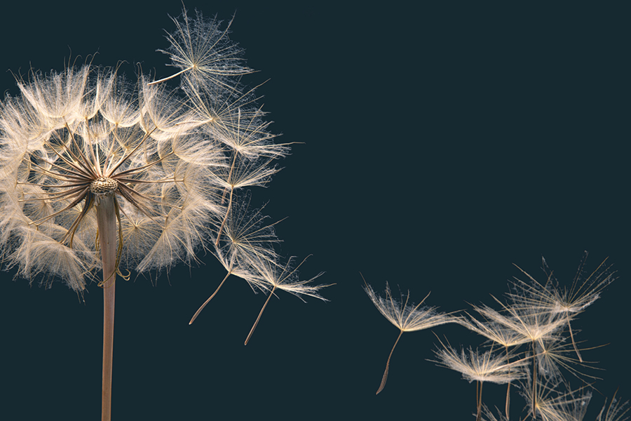 Free Restaurant Bootstrap Website Template by FreeHTML5.co