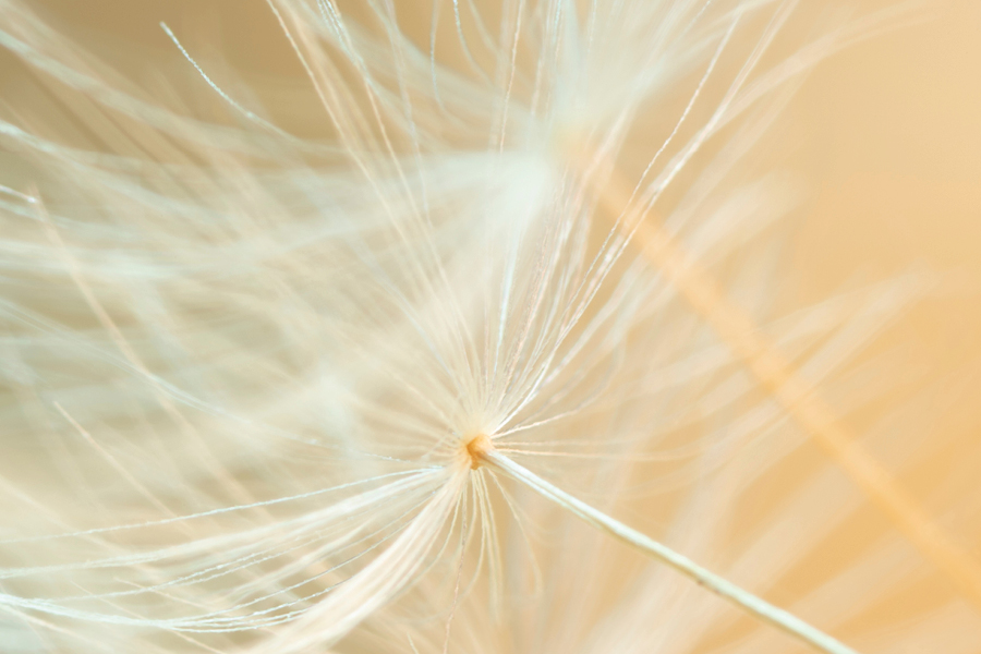 Free Restaurant Bootstrap Website Template by FreeHTML5.co