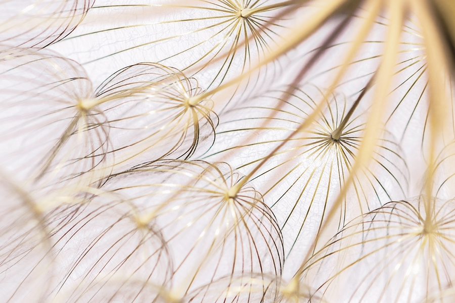 Free Restaurant Bootstrap Website Template by FreeHTML5.co