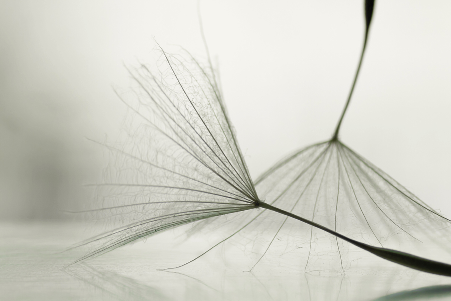 Free Restaurant Bootstrap Website Template by FreeHTML5.co