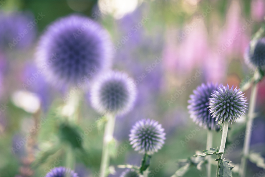 Business und Life Coaching