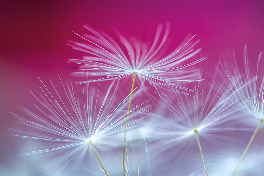 Free Restaurant Bootstrap Website Template by FreeHTML5.co