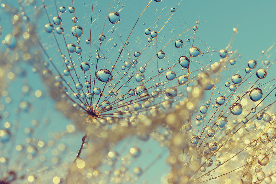 Free Restaurant Bootstrap Website Template by FreeHTML5.co